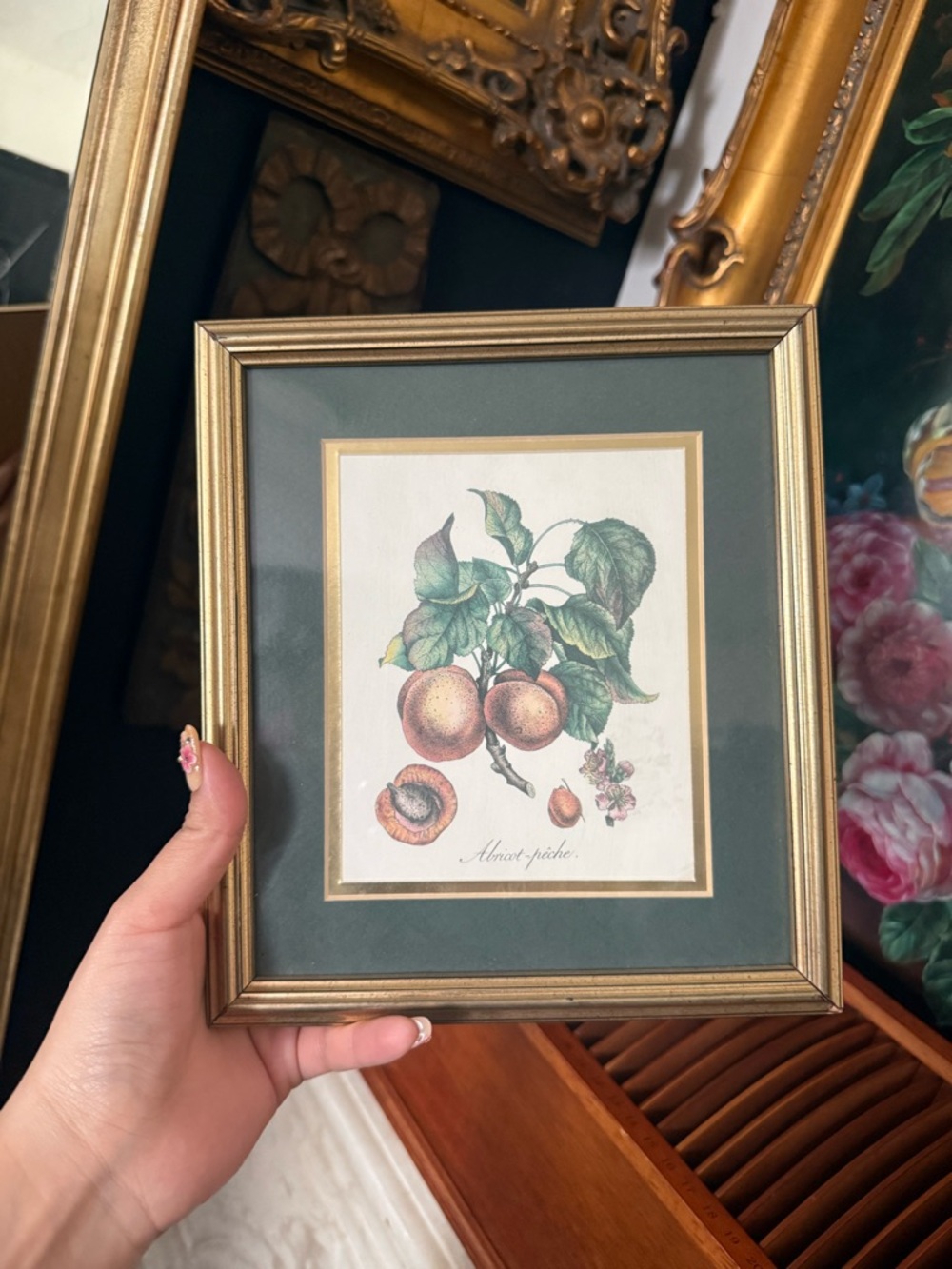 Vintage Botanical Peach Print in Gold Frame